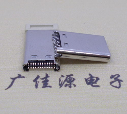 type c3.1公頭